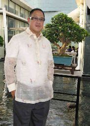 bantigue tree|The Philippine ‘bantigue’ still rules the bonsai scene.